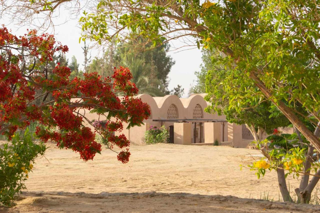 Villa Tzila Bahariya à Bahariya Oasis Extérieur photo